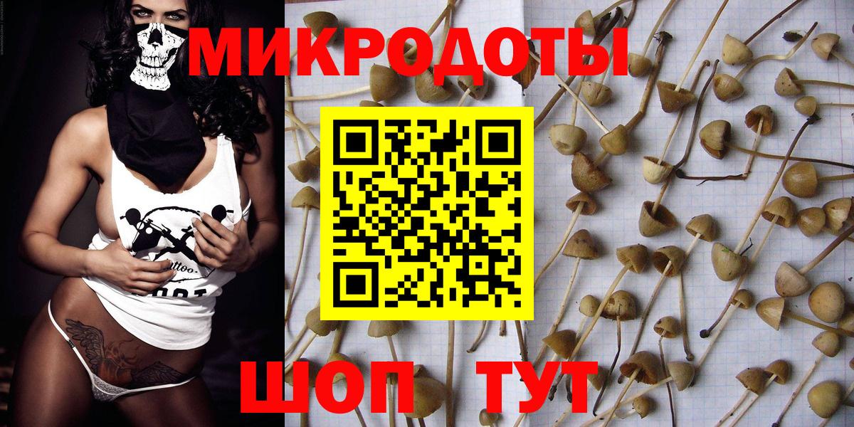 Псилоцибиновые грибы Psilocybine cubensis Унеча