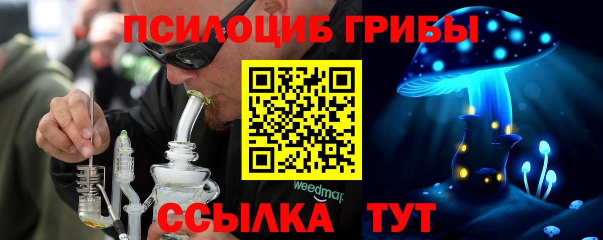 закладка  Псилоцибиновые грибы Psilocybine cubensis  Вход с VPN  Унеча 